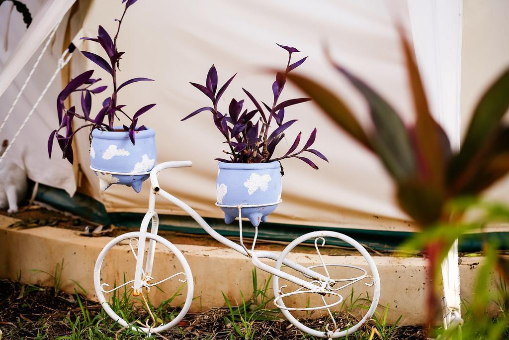 Harmony Glamping Boutique Hotel And Yoga Tulum Cameră foto